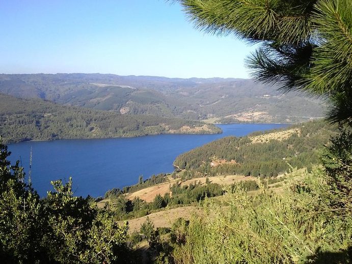 Hostal El Ciervo, Contulmo, Biobío