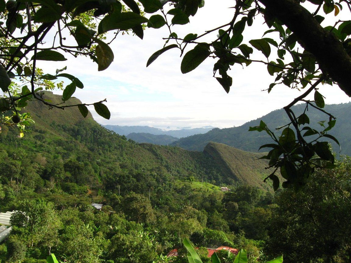 San Francisco De La Selva