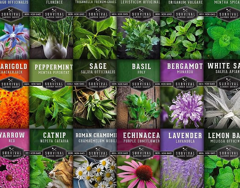 Santa Victoria Propiedades